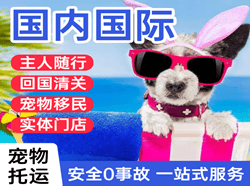 忻州五台山航空空运国际宠物托运 【国